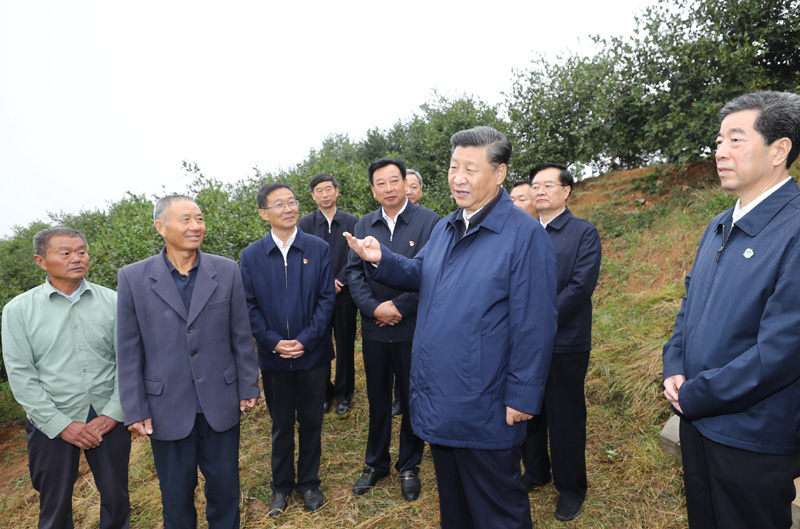 　　9月16日至18日，中共中央總書記、國家主席、中央軍委主席習近平在河南考察。這是17日上午，習近平來到信陽市光山縣槐店鄉(xiāng)司馬光油茶園，同正在勞作的村民和管理人員交流。 新華社記者 鞠鵬 攝
