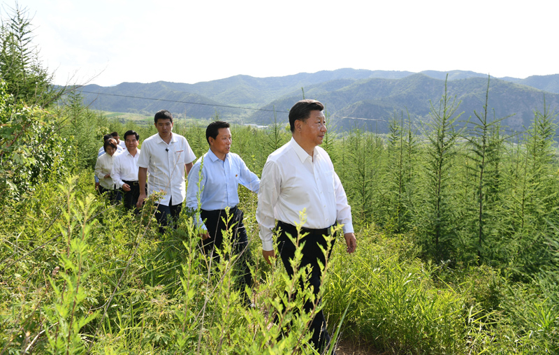7月15日至16日，中共中央總書記、國家主席、中央軍委主席習近平在內(nèi)蒙古考察并指導開展“不忘初心、牢記使命”主題教育。這是15日下午，習近平在赤峰市喀喇沁旗馬鞍山林場林區(qū)，沿著崎嶇的護林小道察看林木長勢。